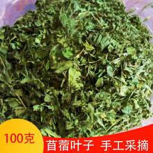 口感好幼宠100克小袋装 苜蓿叶子手工采摘 苜蓿草叶子宠物牧草