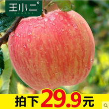 王小二苹果水果生鲜批发包邮 新鲜烟台红富士栖霞萍果平果5斤一箱
