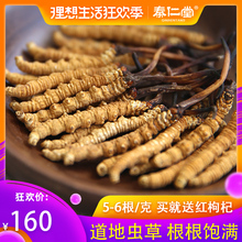 克野生那曲冬虫草礼盒西藏虫草正品 6根 玉树冬虫夏草5