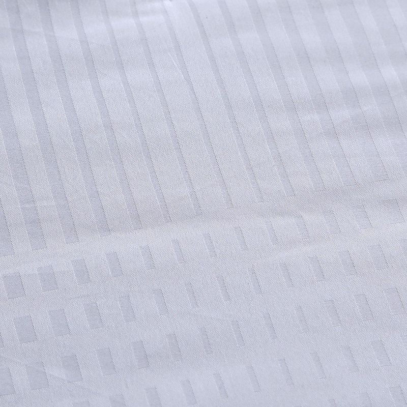 ʥ֮�����˿����842000196