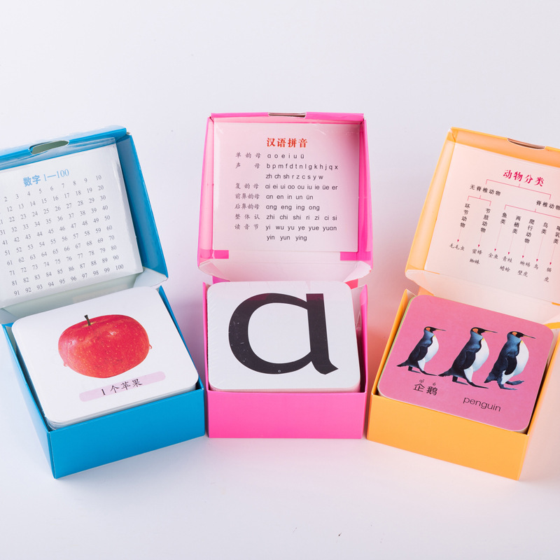 学习卡片启蒙早教儿童益智玩具3-6岁男孩1宝宝