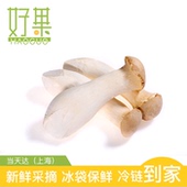 江浙沪皖任意5件 杏鲍菇250g 包邮 新鲜蔬菜 新鲜食用菌