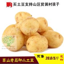 包邮 重庆巫溪特产高山生态蔬菜老品种马尔科土豆洋芋马铃薯1份