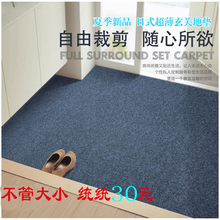 自由裁剪定制超薄地毯地垫门垫进门垫玄关厨房地垫宠物防滑地垫