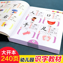 儿童学前看图识字书3-6岁幼儿园1020字 识字大王注拼音版 一年级学前班幼小衔接幼升小教材语文学习早教卡3-4-5-6-7岁宝宝学汉字书