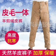 新品羊剪绒皮毛一体内胆户外中老年皮裤男女高腰绵羊毛棉裤保暖裤