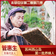 苏州西山岛管迎春土蜂结晶枇杷蜂蜜本草中华第二季冬蜜纯原蜜500g
