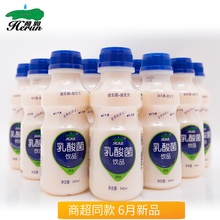 乳酸菌饮品整箱340mlx12瓶益生菌饮料儿童发酵酸奶牛奶早餐奶 正品