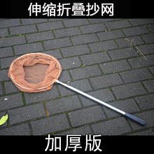 捞鱼网不锈钢伸缩折叠抄网儿童小孩捞鱼网捞蝌蚪捞虾网兜抄网