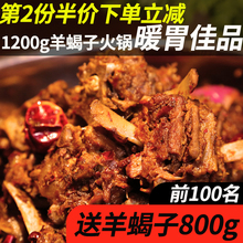 科然羊蝎子火锅即食 内蒙古羊肉羊脊骨羊蝎子底料新鲜 1200g礼盒