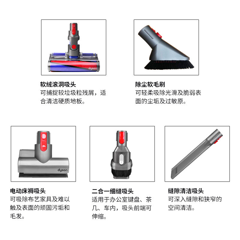 ��ɭ���ǿ��������