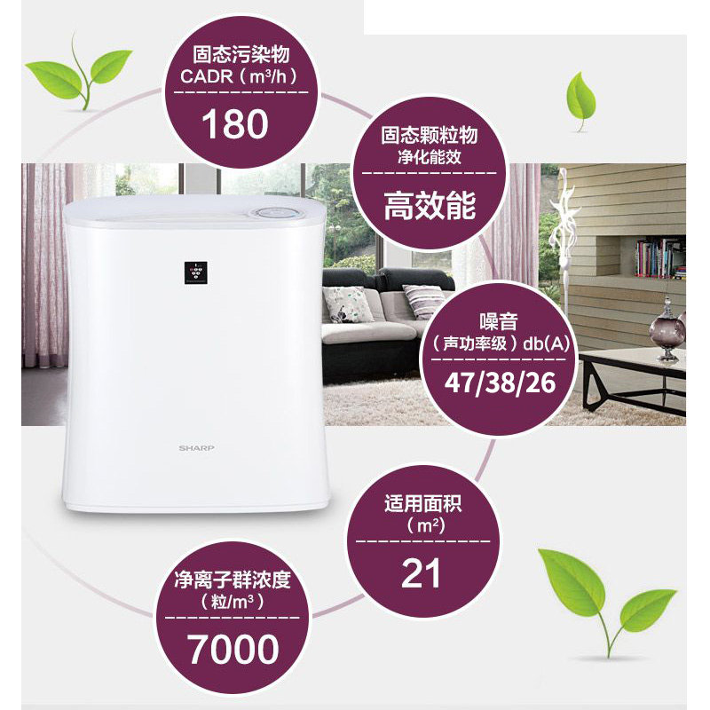 ���տ��������� FP-F30E-A