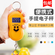 电子枰称 家用弹簧小秤迷你便携式秤水果弹簧秤行李快递称 手提秤