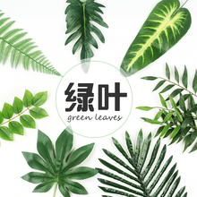 饰拍摄道具 仿真树叶子拍照道具ins美甲美食摄影道具背景摆拍装