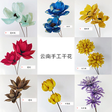 云南手工干花禅意复古莲蓬松果曼陀罗莲花荷花遇水开花玉兰花拍摄