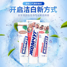 俄罗斯NC牙膏清新口薄荷橡树去牙渍固齿低泡气全家适用装 100ml
