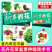 花卉花草养殖种植技术书盆景盆栽植物大全设计书养花畅销书籍 室内养花书籍 新华书店正版书籍 图书大全 新手养花一本就够