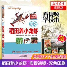 疾病防治技术 视频教程 小龙虾养殖 小龙虾高效养殖技术 高效稻田养小龙虾 稻虾连作种养技术书 稻田养小龙虾关键技术 正版