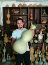 种子特大葫芦种籽莲花头鹤首疙瘩三停八宝葫芦种小葫芦手捻籽包邮