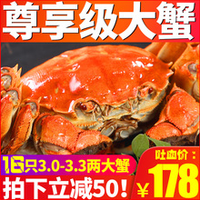 水产鲜活特大全公母蟹 今旺六月黄大闸蟹现货螃蟹海鲜 抢16只