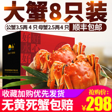 今旺阳澄湖大闸蟹 鲜活螃蟹 公3.5两母2.5两4对礼盒装 顺丰包邮