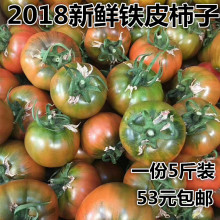丹东东港番茄西红柿草莓柿子铁皮柿子2500g油柿子绿腚柿子5斤 包邮