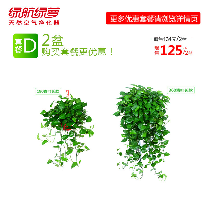 绿箩市场的新机遇与挑战