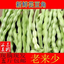 包邮 P5fQUXxsGX 农家自产新鲜蔬菜豆角当天现摘芸豆角新鲜蔬菜5斤