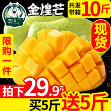 广西金煌芒果新鲜水果 青芒当季甜心芒大整带箱10斤 包邮 买1送1