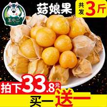 批发 包邮 东北菇娘果当季新鲜水果应季姑娘果灯笼果特产 王小二