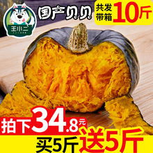 贝贝南瓜板栗味新鲜果蔬当季板栗 农家甜整带箱10斤 包邮 买1送1