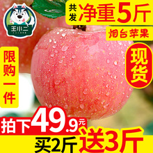 【买2送3】烟台栖霞红富士苹果水果新鲜包邮当季丑苹果整箱5斤10
