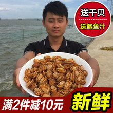 50g约20个 湛江野生鲍鱼干佛跳墙小鲍鱼仔鲜活煲汤海鲜干货非即食