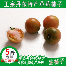 丹东东港特产油柿子铁柿子绿定柿子草莓柿子盐碱地柿子新鲜柿子