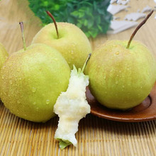 山西隰县玉露香梨