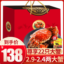 【买8送14】大闸蟹鲜活现货六月黄大闸蟹螃蟹鲜活特大公母蟹礼盒