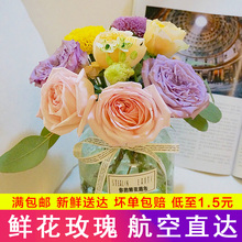 同城速递束空运到家节日送礼品 单支多色红玫瑰 世界鲜花 云南