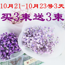 饰淡雅风干 满天星干花混搭小花束真花批发永生花家居摆设小清新装