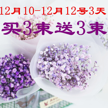 满天星干花ins小花束网红真花批发毕业永生花家居摆设小清新风干