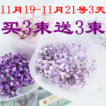 满天星干花ins小花束网红真花批发毕业永生花家居摆设小清新风干
