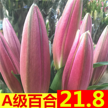 鲜花直批云南基地直发百合花批发同城速递控塑八养花玫瑰直供