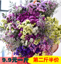 云南勿忘我真花干花花束家居摆设小清新客厅满天星插花发批论斤称