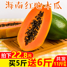 包邮 海南红心冰糖木瓜带箱11斤新鲜应季水果大青木瓜10 买1送1