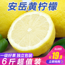 包邮 新鲜当季水果现摘一级果皮薄鲜青柠檬批发 四川安岳黄柠檬6斤