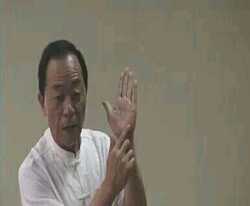 季秦安季氏手诊疗法季氏手诊手疗培训班视频全集手诊面诊视频网59