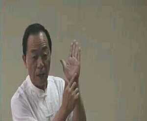 季秦安季氏手诊疗法季氏手诊手疗培训班视频全集手诊面诊视频网59