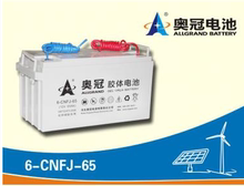 埋线胶体太阳能 光伏板路灯电瓶12V65AH现货 CNFJ 奥冠蓄电池6