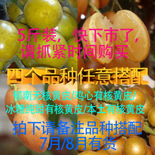 鸡心 包邮 5斤 冰糖纯甜 本土黄皮果新鲜水果顺丰 广东郁南建城无核