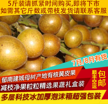 包邮 孕妇新鲜时令水果买5斤装 广东郁南建城本土山黄皮果顺丰内
