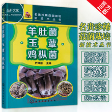 鸡枞菌 菌类栽培技术知识问答 菌类栽培实用技术知识全集 菌类种植栽培技术教程 名贵珍稀菇菌栽培新技术丛书 玉蕈 羊肚菌 正版